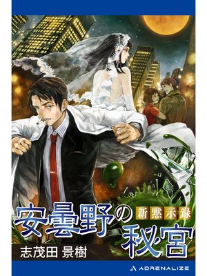 cover image of 新黙示録　安曇野の秘宮